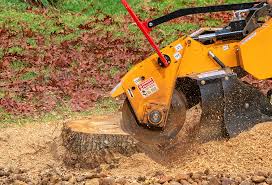 Leaf Removal in Bixby, OK